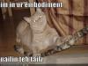Nerrcat Sez